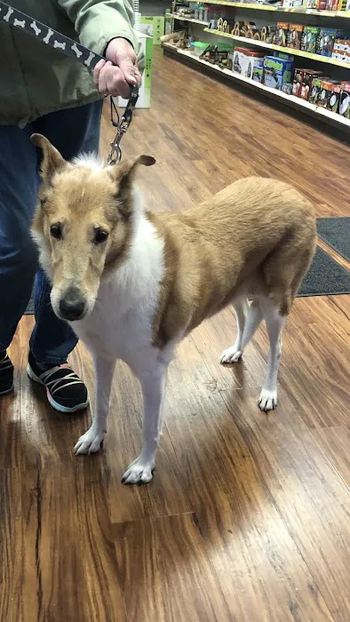 Michelle’s Pet Center Picture 10