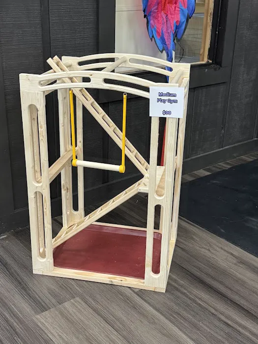 Everything Polly Wants Picture 1