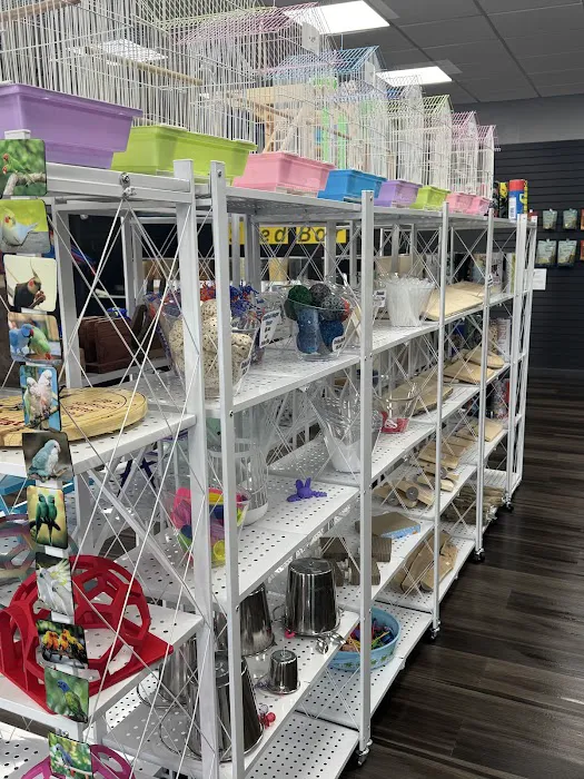 Everything Polly Wants Picture 3