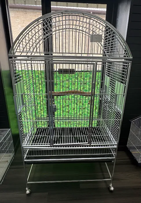 Everything Polly Wants Picture 6