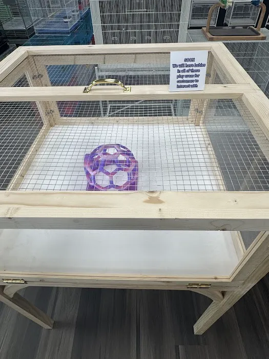 Everything Polly Wants Picture 7