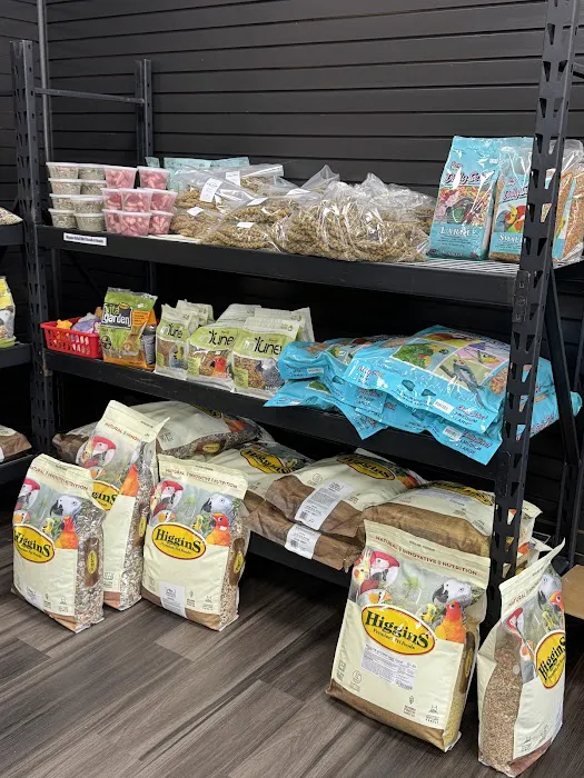 Everything Polly Wants Picture 9