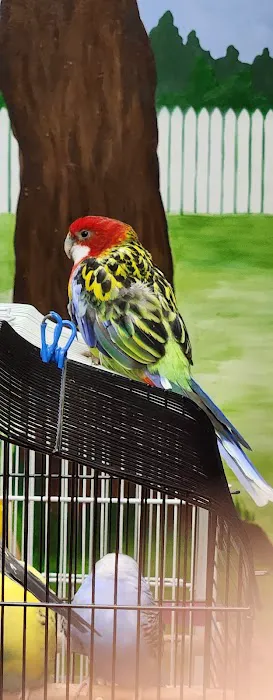 LC Pets, LLC Picture 5