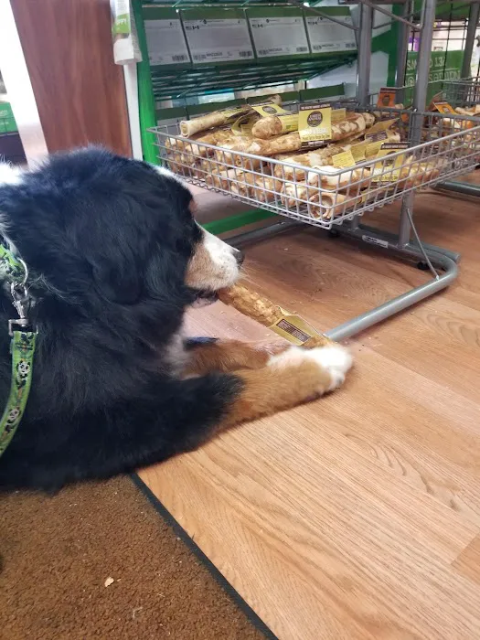 LC Pets, LLC Picture 4