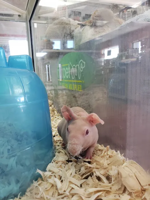 LC Pets, LLC Picture 6