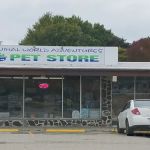 Animal World Adventures