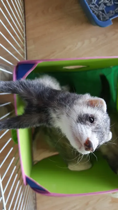 Animal World Adventures Picture 5