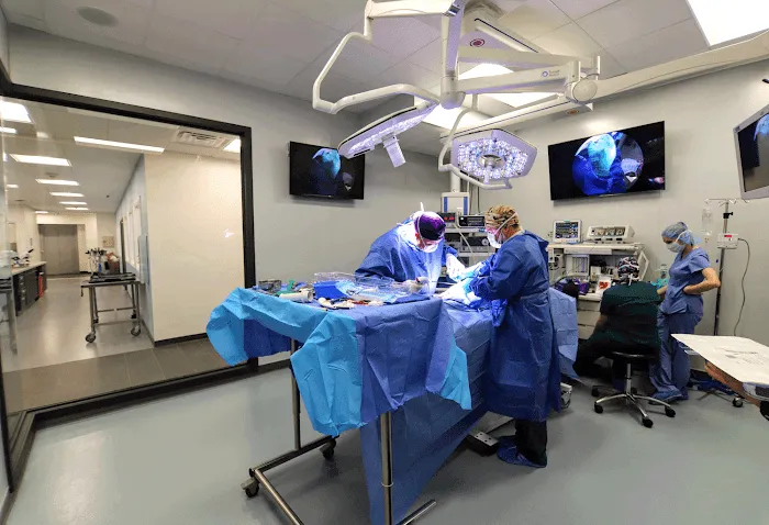 Guardian Veterinary Specialists Picture 10