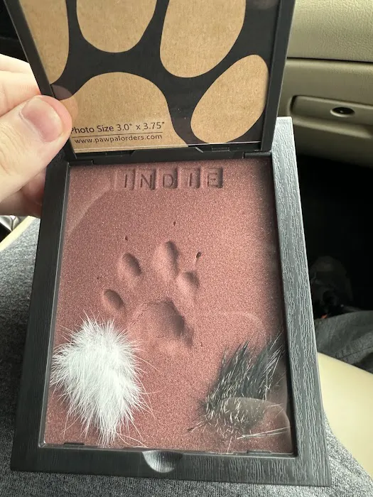 Guardian Veterinary Specialists Picture 5