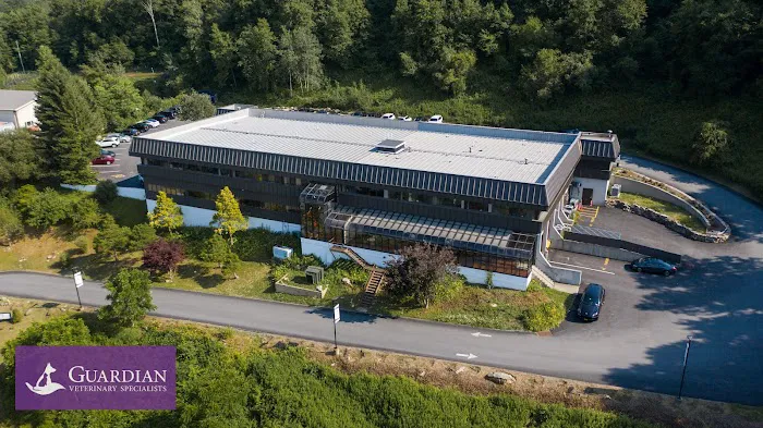 Guardian Veterinary Specialists Picture 4