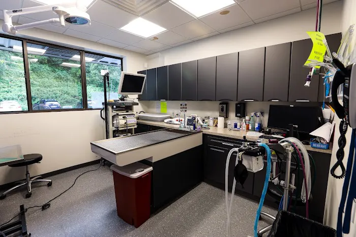 Guardian Veterinary Specialists Picture 9