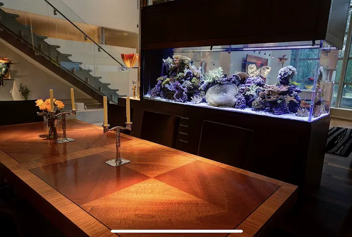 Aquamoon North Aquarium Maintenance Picture 2