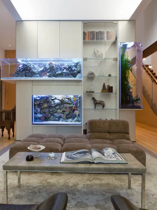 Aquamoon North Aquarium Maintenance Picture 6