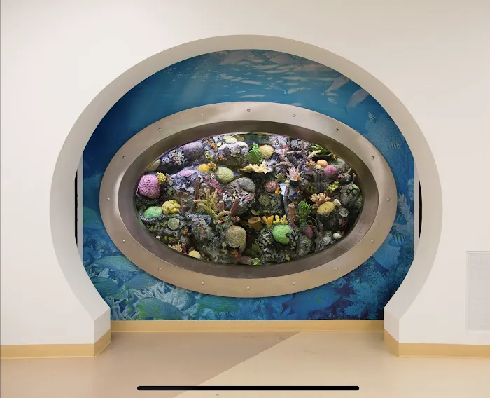 Aquamoon North Aquarium Maintenance Picture 5