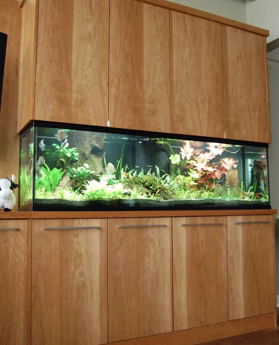 Aquamoon North Aquarium Maintenance Picture 3