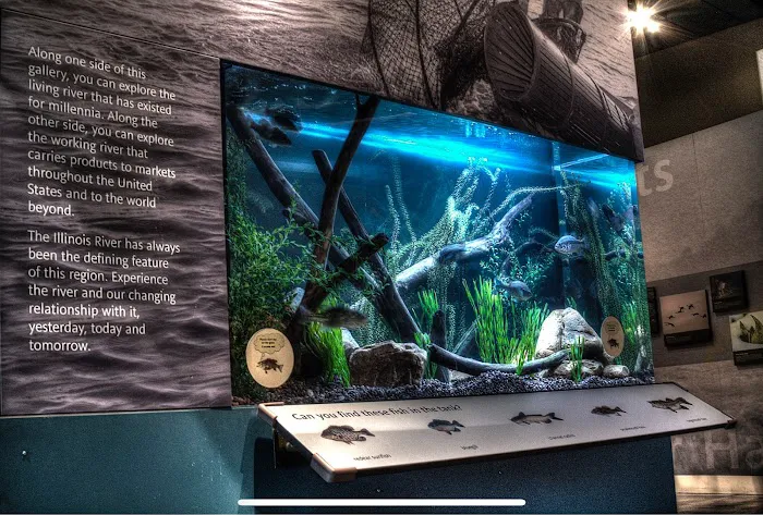 Aquamoon North Aquarium Maintenance Picture 7