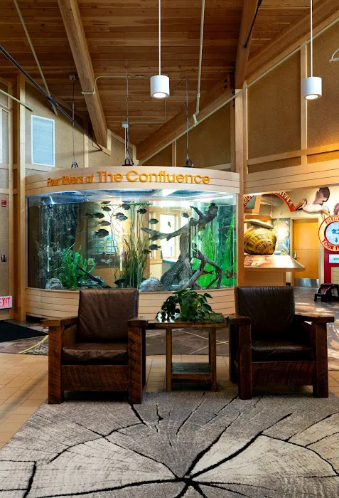 Aquamoon North Aquarium Maintenance Picture 8