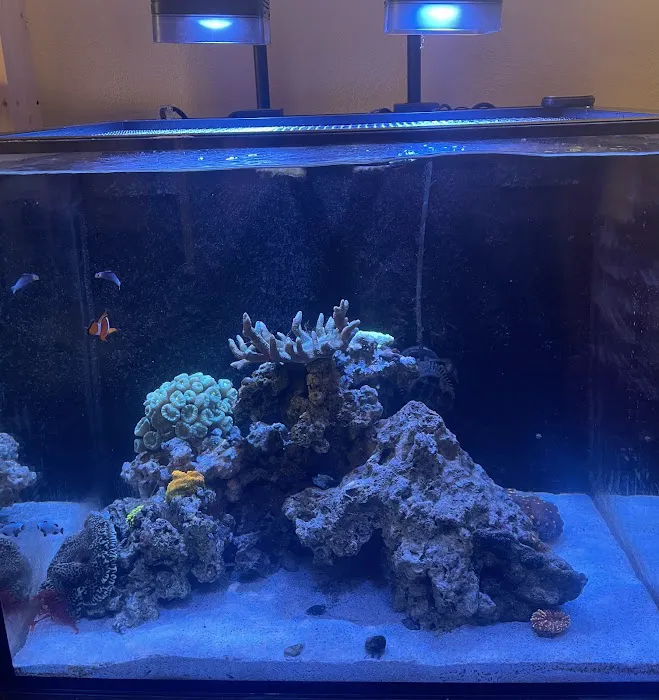 Aquamoon North Aquarium Maintenance Picture 9