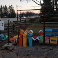 Birdfeeders and Birdhouses ico