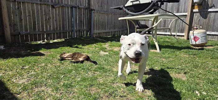 Brewster Veterinary Hospital Picture 1