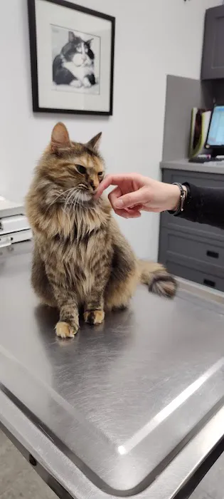 Brewster Veterinary Hospital Picture 3