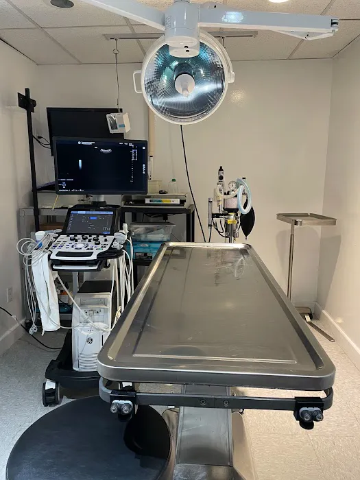 Brewster Veterinary Hospital Picture 6