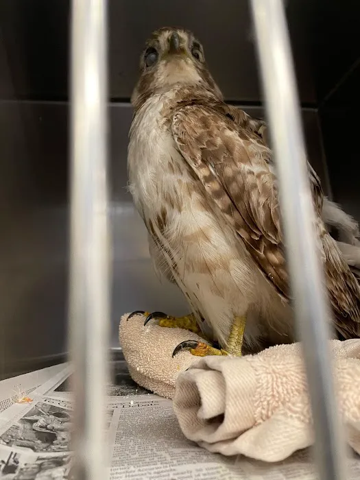 Brewster Veterinary Hospital Picture 7