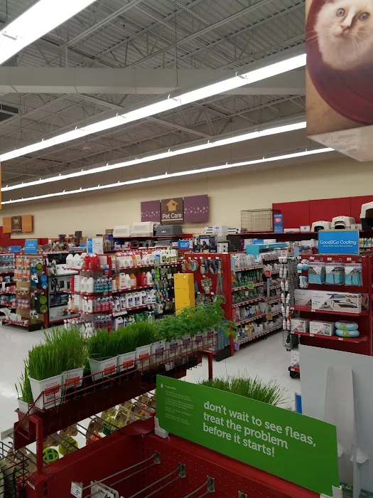 Petco Picture 3