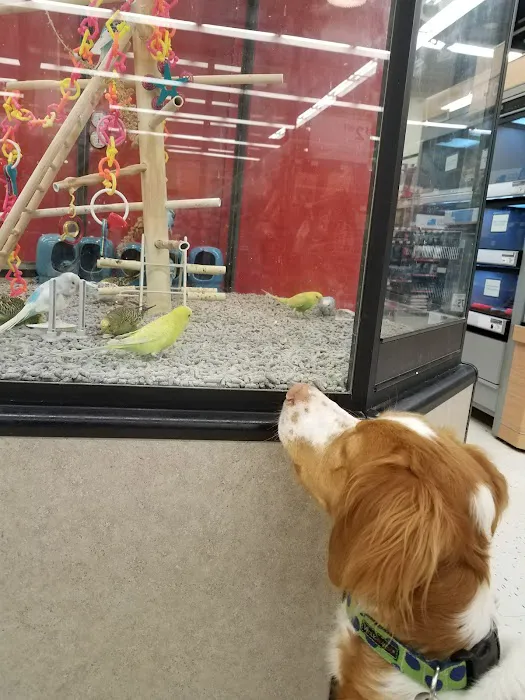 Petco Picture 10