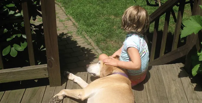 Comforting Care Veterinary Services Picture 9