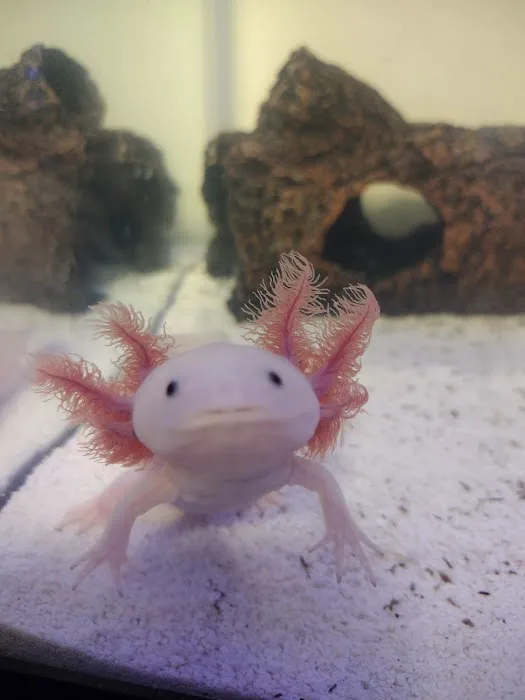 Badgerland Saltwater Picture 4