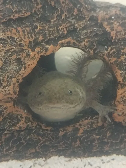 Badgerland Saltwater Picture 2