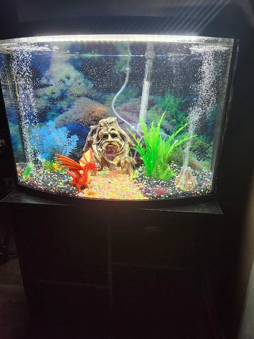 Badgerland Saltwater Picture 1