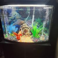 Badgerland Saltwater ico