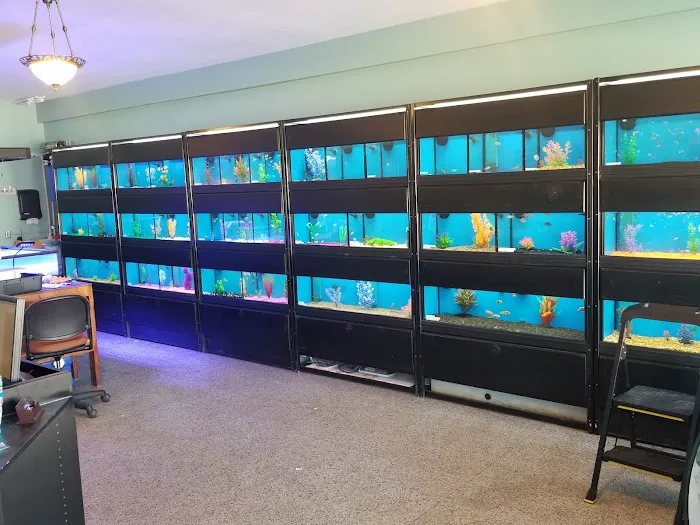 Badgerland Saltwater Picture 8