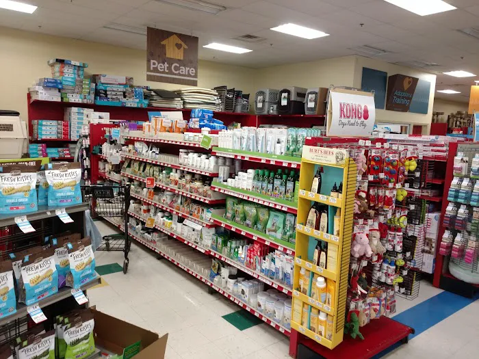 Petco Picture 8