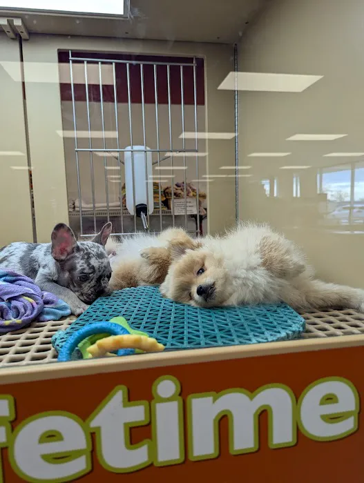 Petland Janesville Picture 7