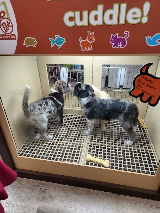 Petland Janesville Picture 2