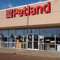 Petland Janesville ico