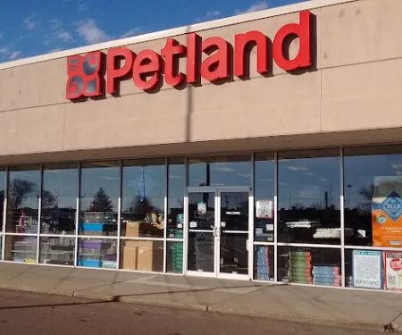Petland Janesville