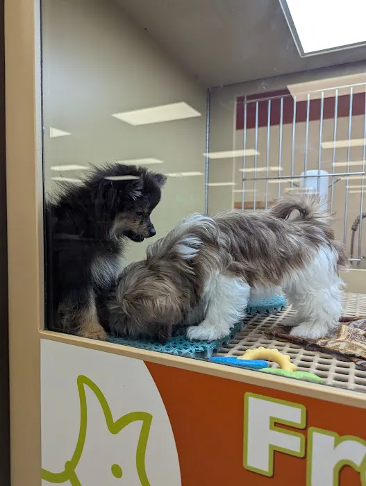 Petland Janesville Picture 3