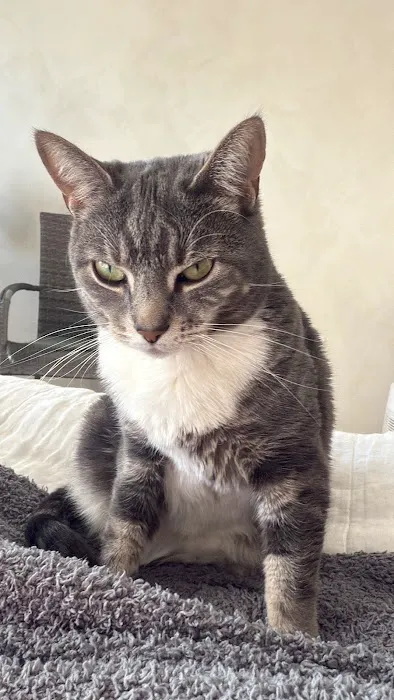 Mill Plain Veterinary Clinic Picture 6