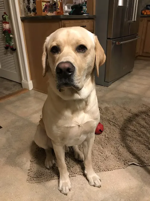 Mill Plain Veterinary Clinic Picture 2