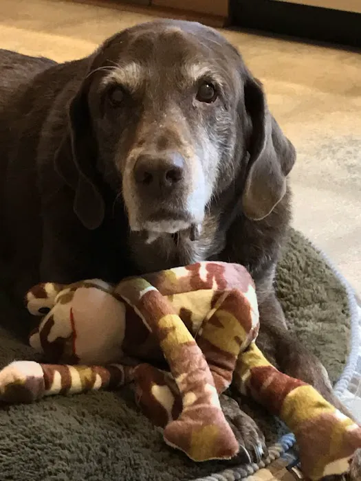 Mill Plain Veterinary Clinic Picture 1