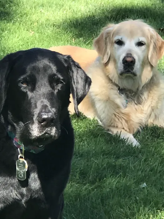 Mill Plain Veterinary Clinic Picture 3