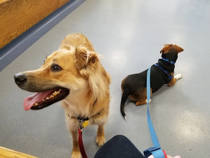 Mill Plain Veterinary Clinic Picture 8