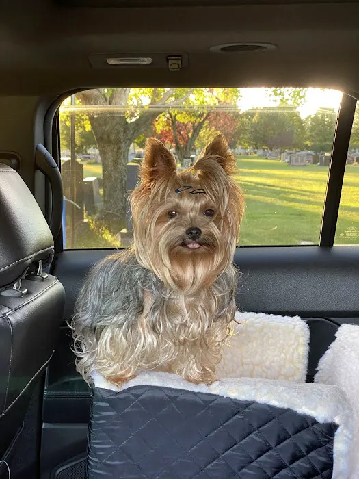 Mill Plain Veterinary Clinic Picture 10