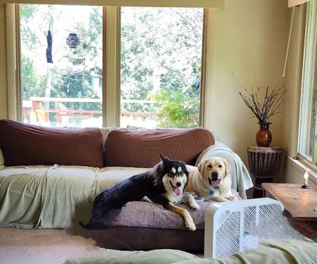 Spirit of Love Pet Care