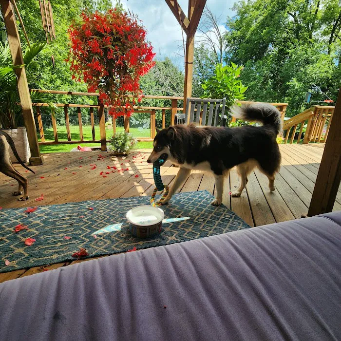 Spirit of Love Pet Care Picture 2