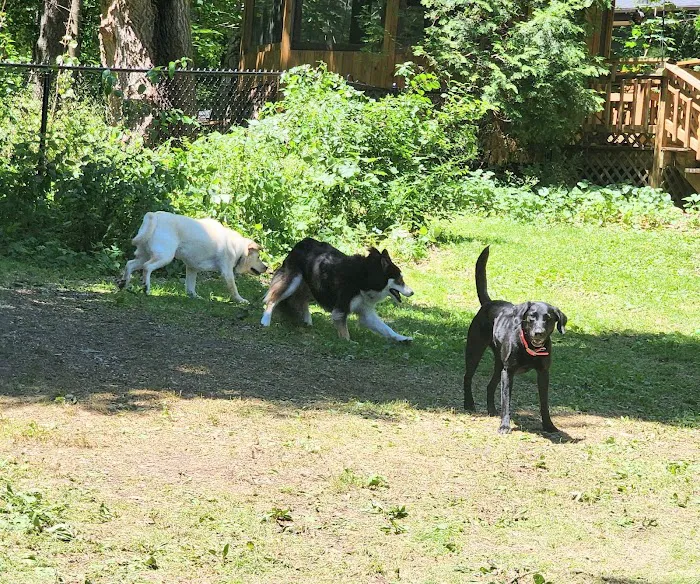 Spirit of Love Pet Care Picture 3